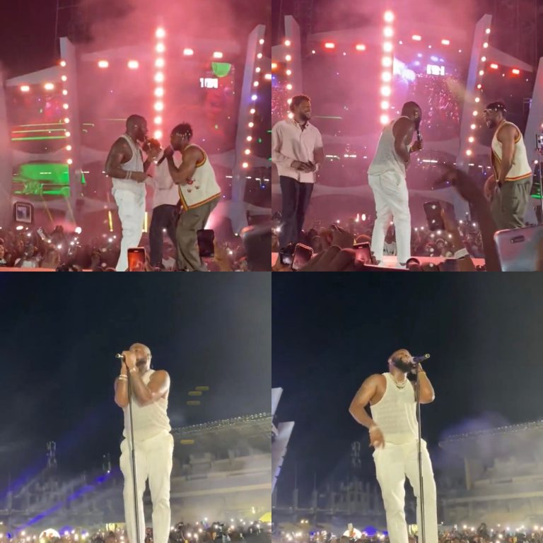 Who Is Richer Between Davido and Wizkid in 2025?